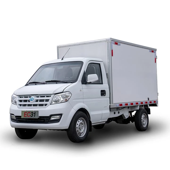 Ruichi EC31 Small Box Truck
